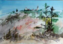 "Monhegan September"WC on Arches 140# hot press20x14 unmatted, unframedJohn Turchin Art Gallery