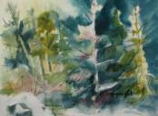 Gull Cove, Monhegan Island watercolor